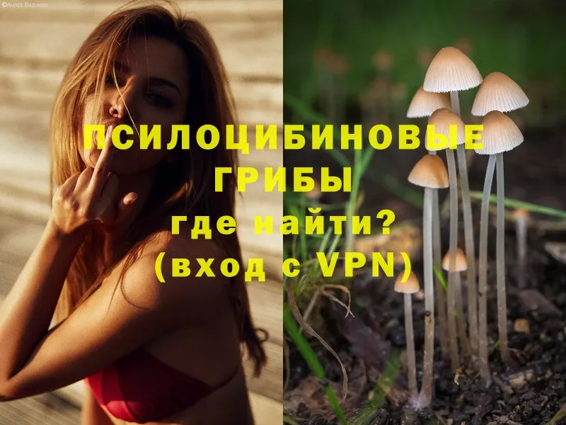 Галлюциногенные грибы Psilocybine cubensis  Новороссийск 